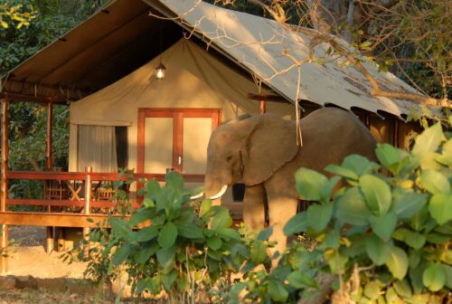 Lugenda Wilderness Camp