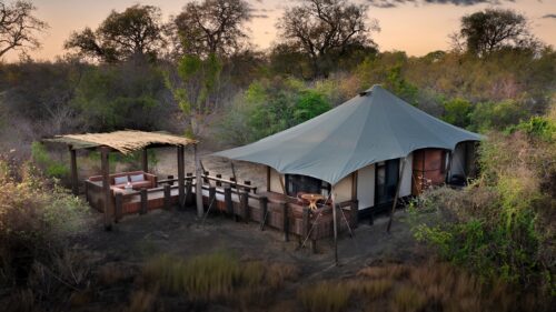 Ngala Tented Camp
