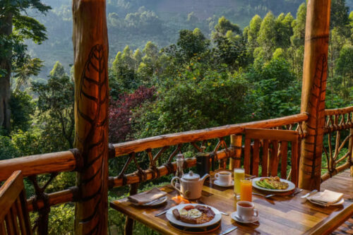 Mahogany Springs Lodge