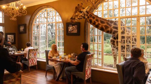 Giraffe Manor