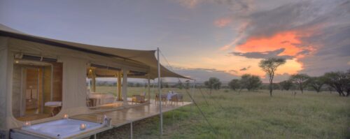 Serengeti Bushtops Camp