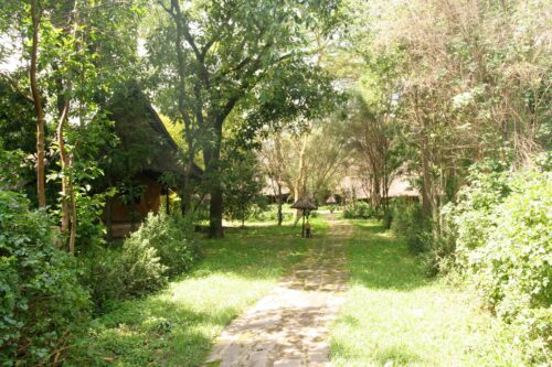 Flamingo Hill Tented Camp