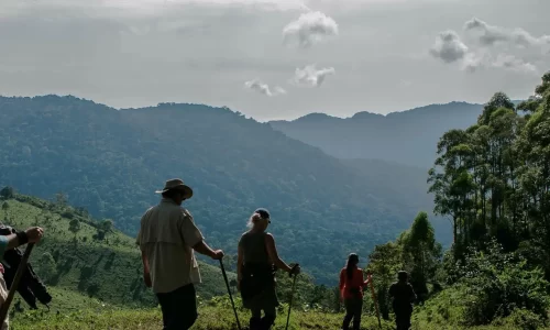Clouds Mountain Gorilla Lodge