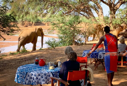 Elephant Watch Camp