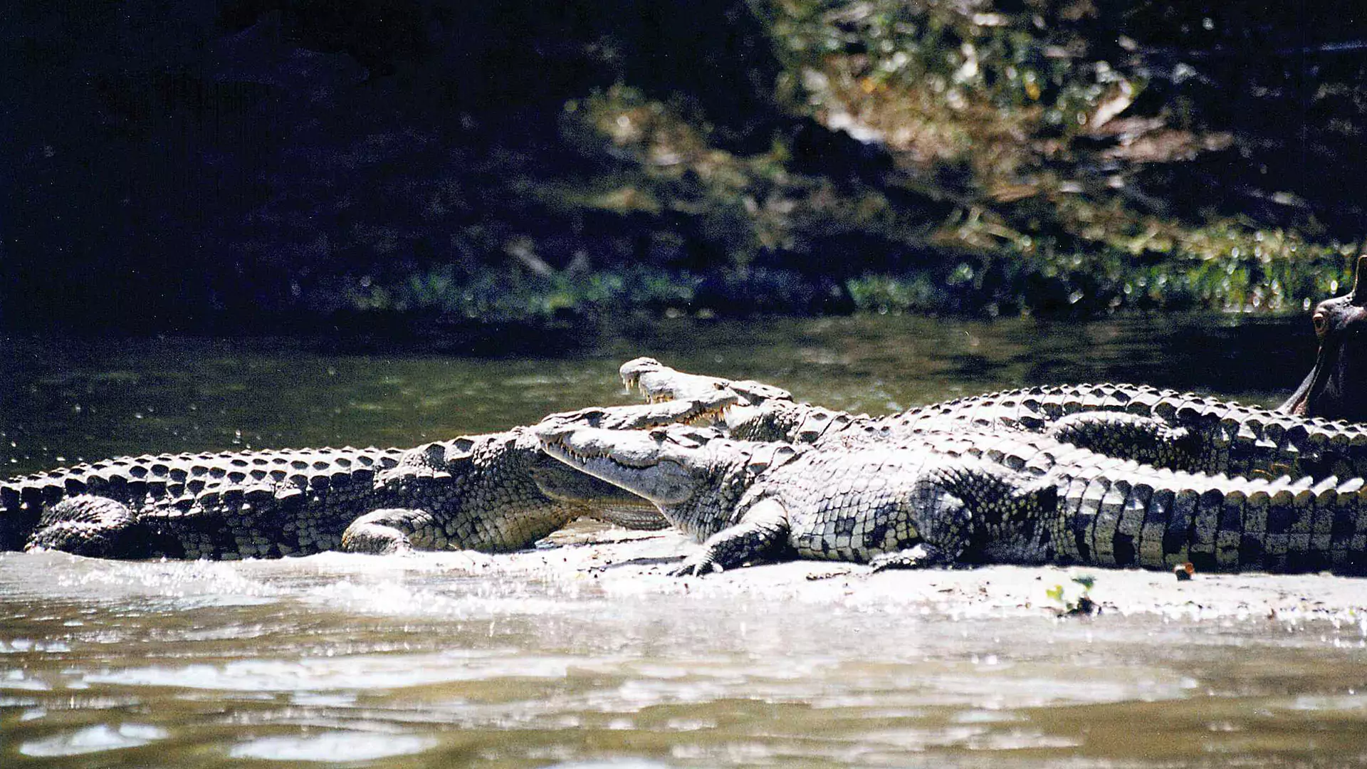 Liwonde National Park