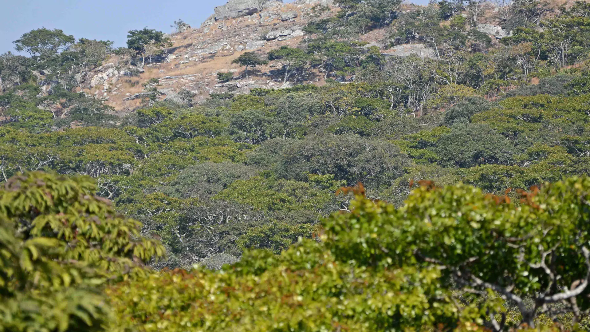 Nkhotakota Wildlife Reserve