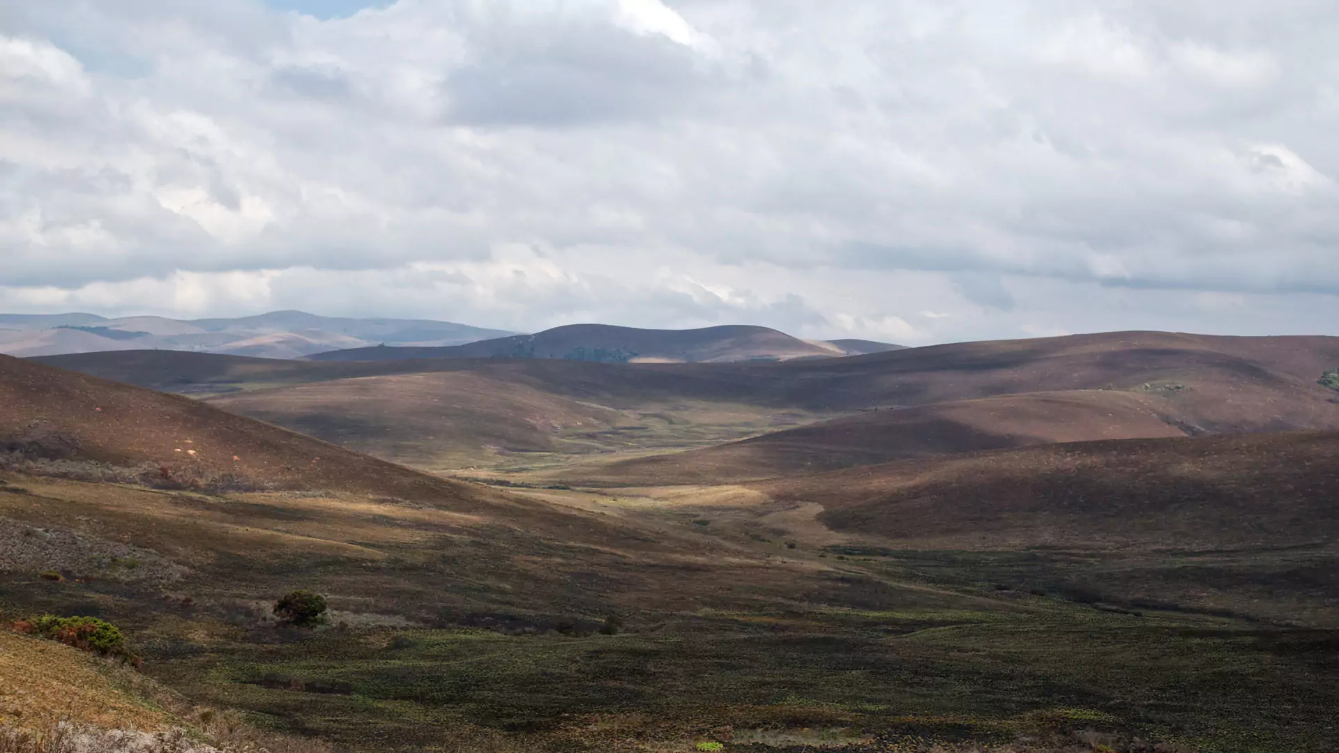 Nyika National Park