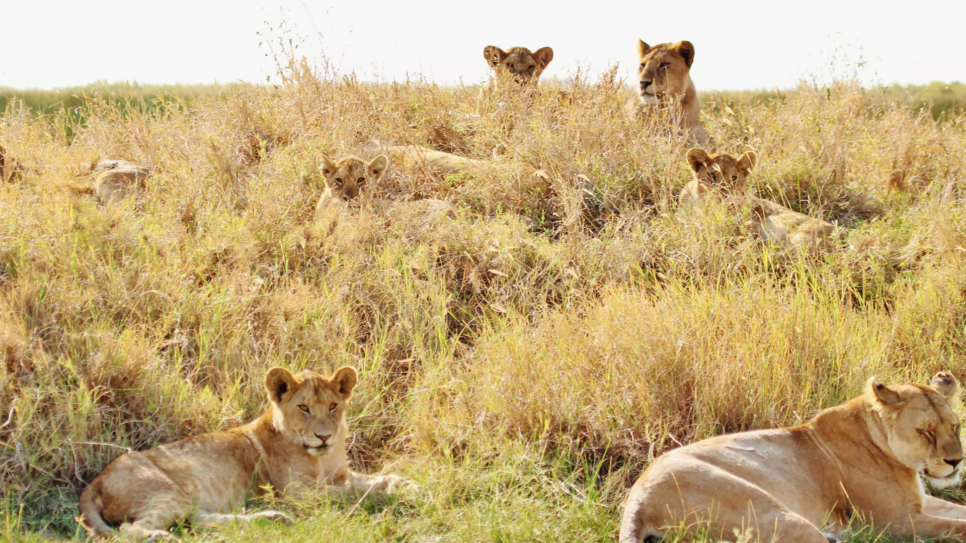 Serengeti National Park