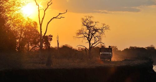 Tafika Camp – South Luangwa National Park