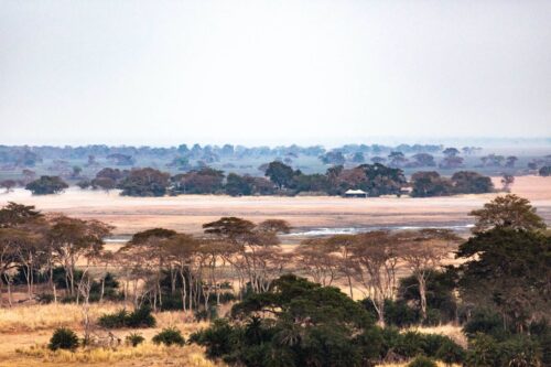 Busanga Bush Camp