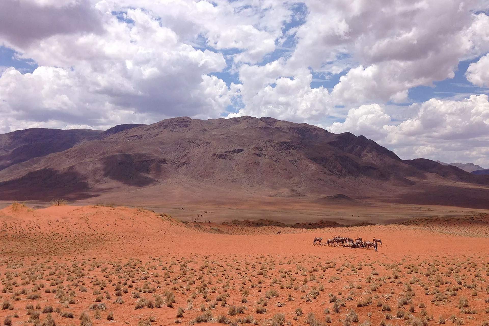 NamibRand Nature Reserve