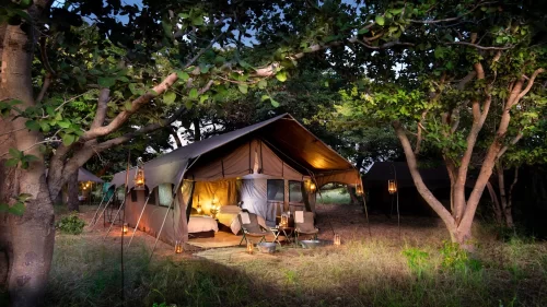 Chobe Under Canvas