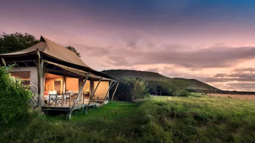 Kichwa Tembo Tented Camp