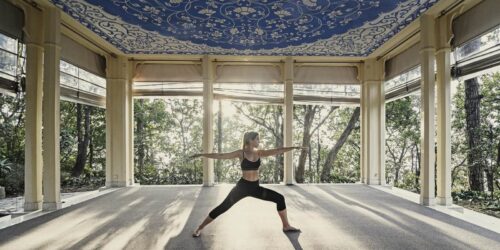 Ananda in the Himalayas