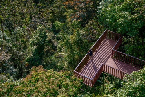 Hotel Senda Monteverde