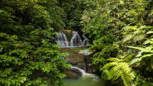 Copa De Arbol Beach & Rainforest Resort