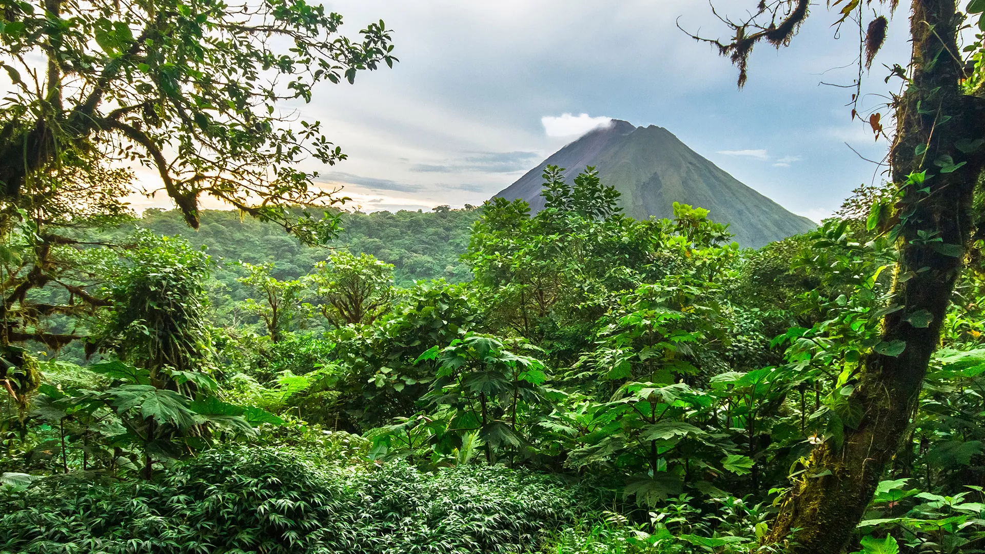 Vulcão Arenal