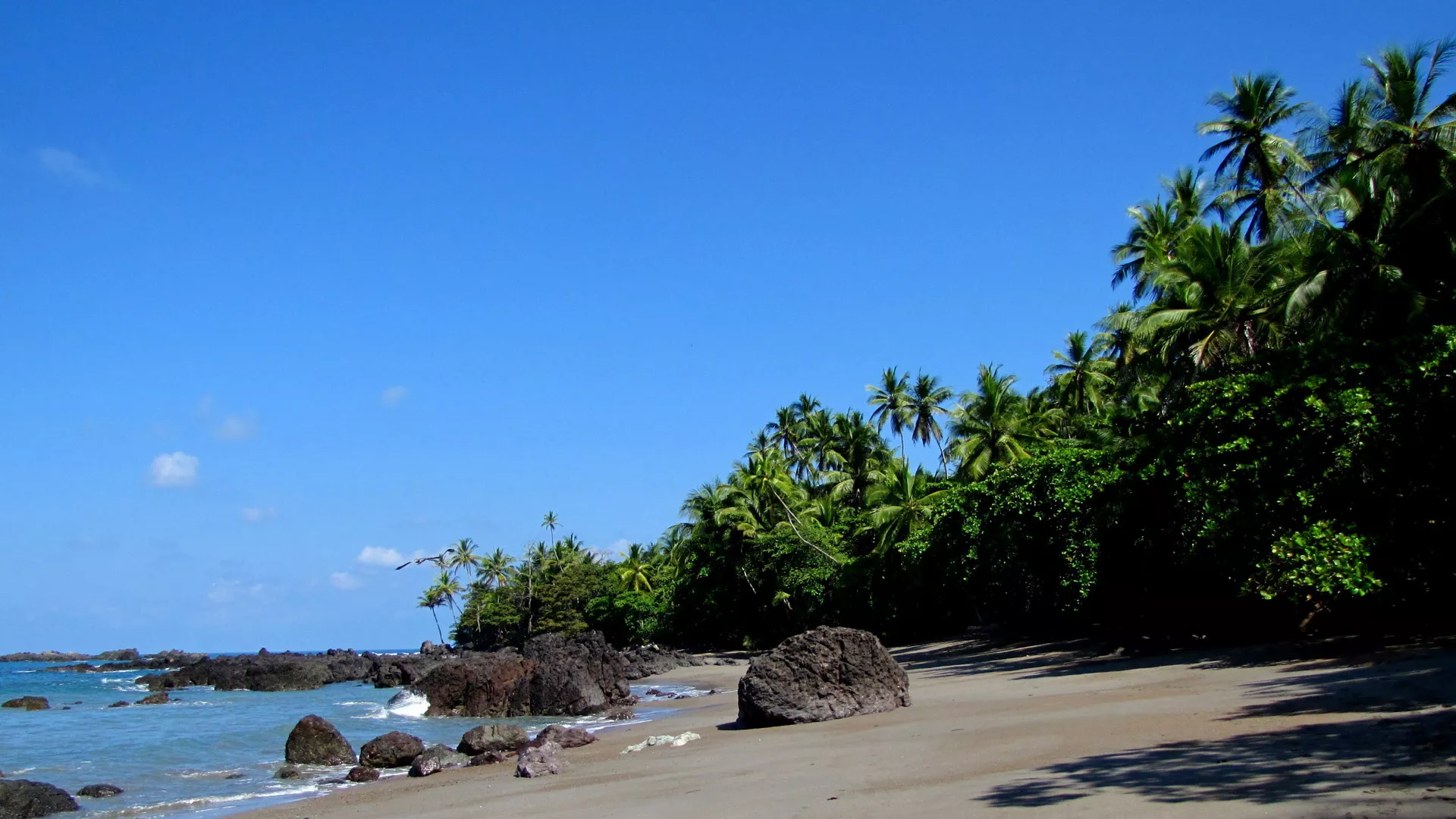 Parque Nacional Corcovado