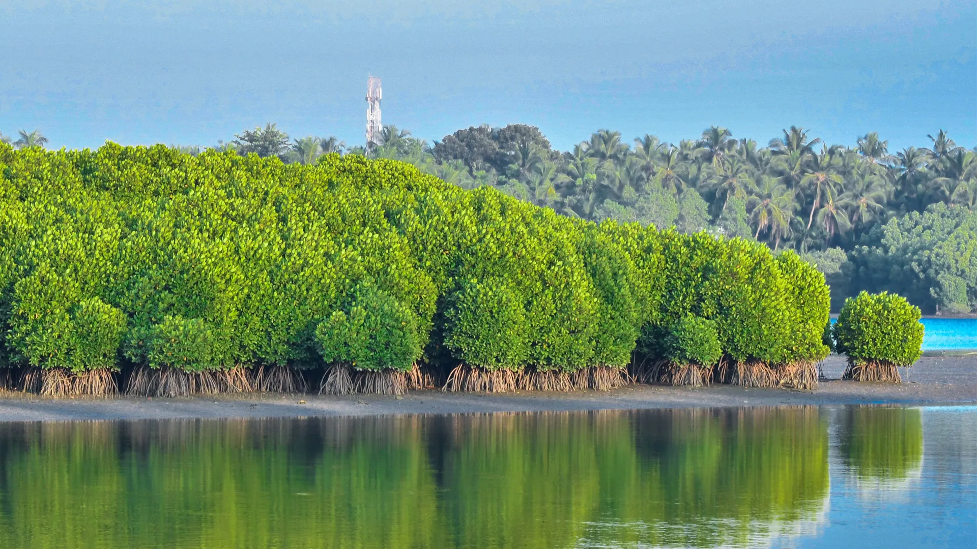 Kannur