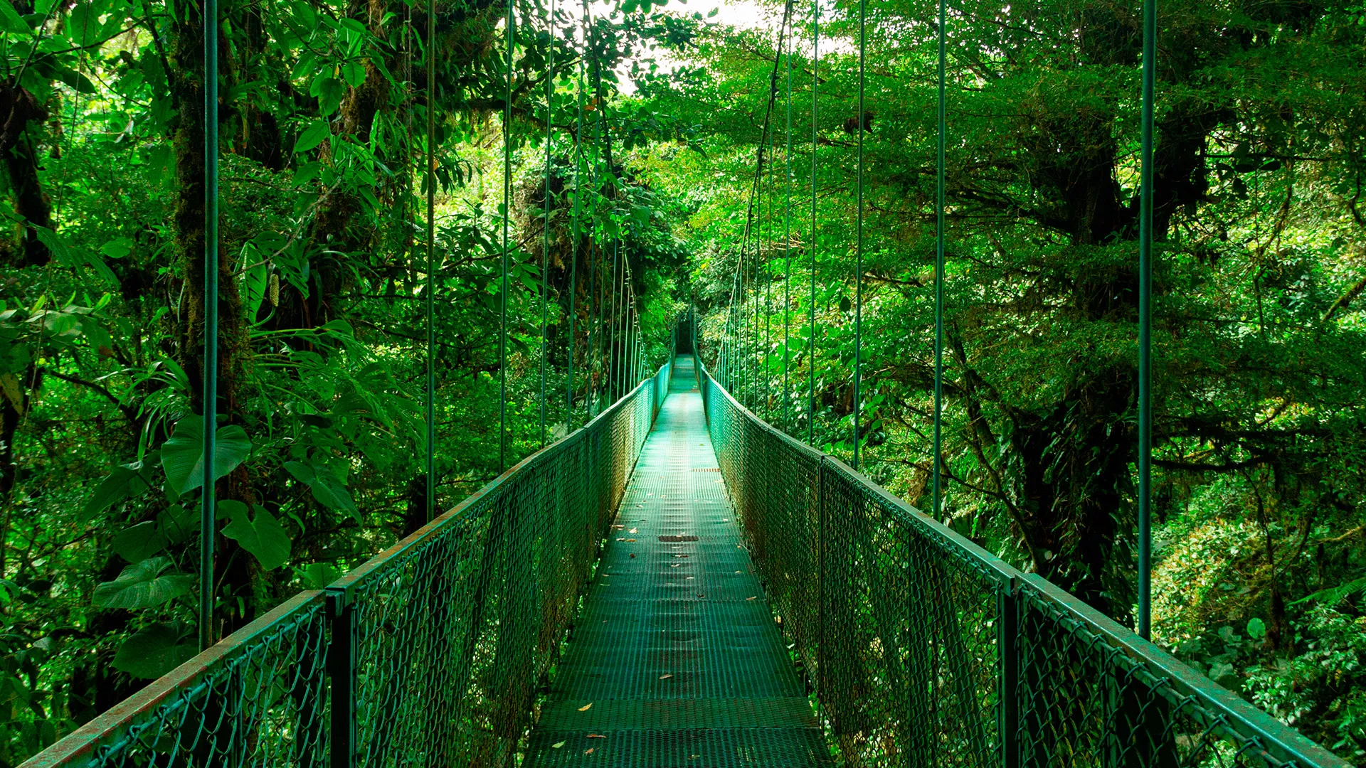 Monteverde