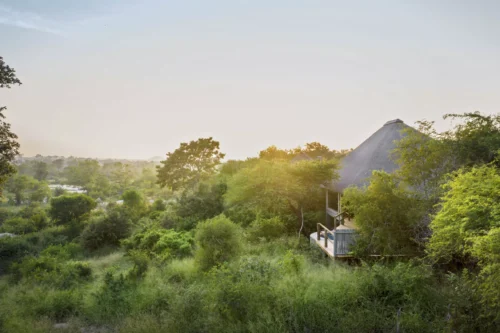 Londolozi Pioneer Camp