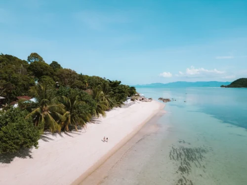 Kupu Kupu Phangan