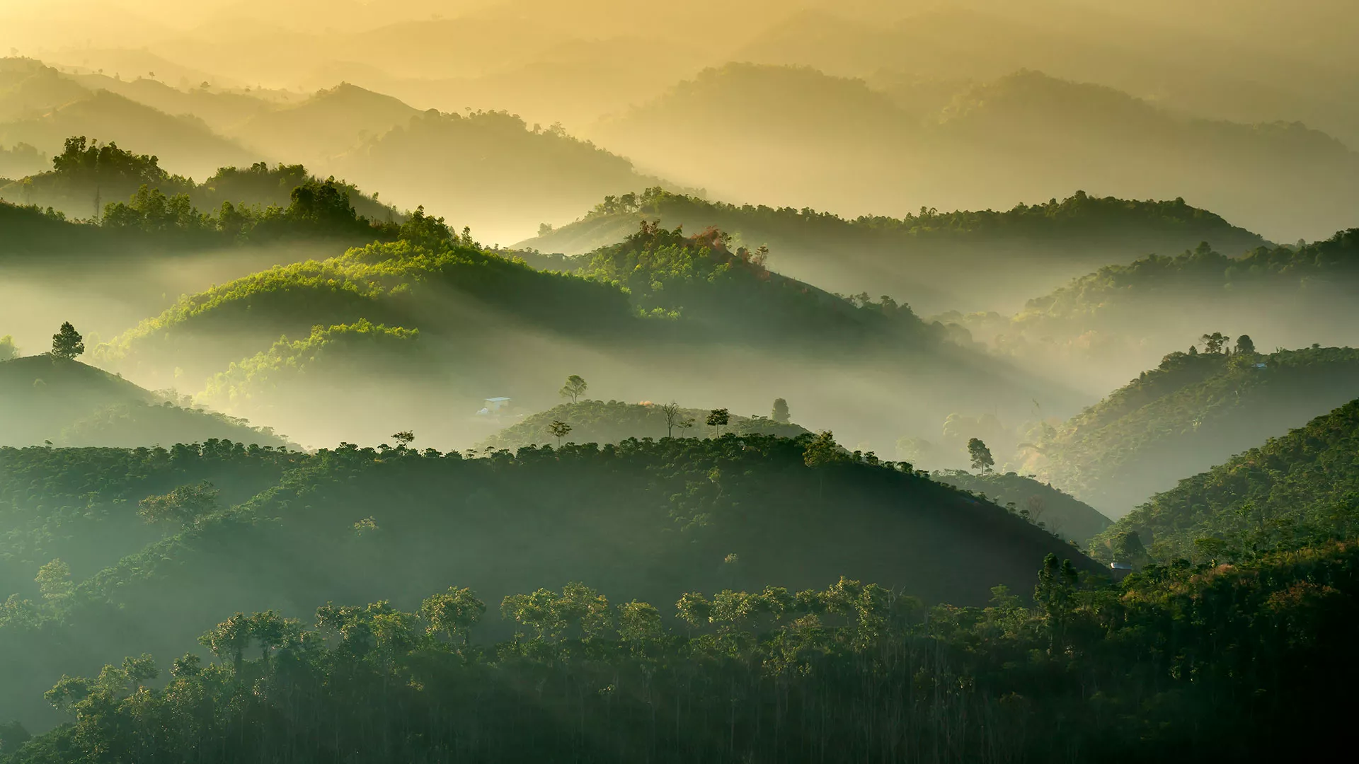 Cardamom Mountains