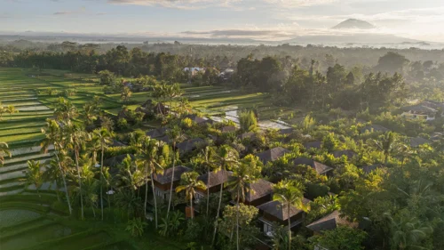 Kappa Senses Ubud